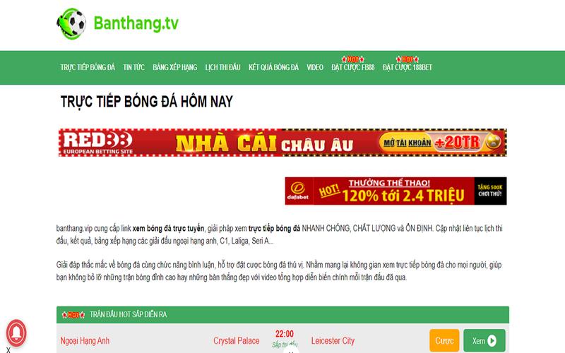 au888 casino lai chó bull dũng mãnh